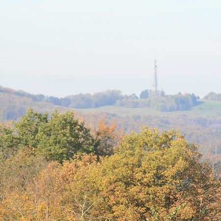 Fewo Im Naturpark Spiegelberg Esterno foto