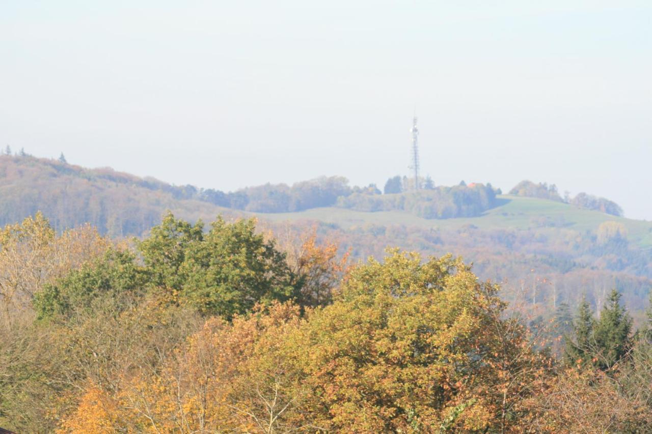 Fewo Im Naturpark Spiegelberg Esterno foto
