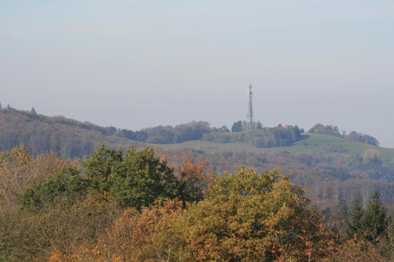 Fewo Im Naturpark Spiegelberg Esterno foto
